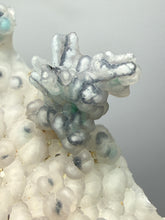Load image into Gallery viewer, Blue-Green Chrysocolla in Botryoidal Chalcedony Cabinet Specimen | Indonesia