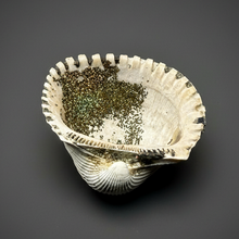 Load image into Gallery viewer, Bivalve (Pelecypoda) Fossil Sea Shell with Chalcopyrite | Mineralized Fossil Specimen | Indonesia