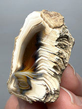 Load image into Gallery viewer, Premium Sumatra Agate (Banded Chalcedony) Display Specimen | Indonesia