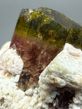 Load image into Gallery viewer, Tri-Color Tourmaline with Feldspar Mineral Specimen – Pakistan