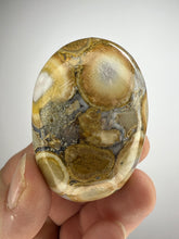 Load image into Gallery viewer, Cobra Jasper Palm Stone from India • High Grade