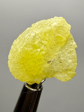 Load image into Gallery viewer, Vibrant Yellow Brucite Thumbnail Mineral Specimen | Collector Crystal from Killa Saifullah District in Balochistan Province, Pakistan