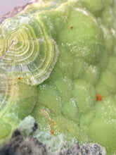 Load image into Gallery viewer, High-Grade Green Wavellite Collectors Specimen - Radiating Botryoidal Crystal Formation - Arkansas, USA