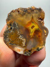 Load image into Gallery viewer, Lot of 4 Small Malawi Agate Halves – Polished Rare Colorful Collector Specimens