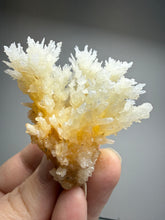 Load image into Gallery viewer, High-Grade Coral Aragonite Crystal Specimen – Wenshan Mine, Yunnan, China