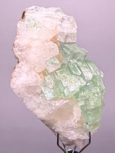 Load image into Gallery viewer, Green Radial “Disco Ball” Apophyllite | Maharashtra, India