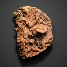 Load image into Gallery viewer, Chalcedony Quartz Rose Agate Collector Mineral Specimen – Morocco