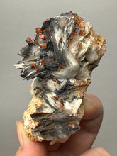 Load image into Gallery viewer, Natural Vanadinite on Matrix | Collector Mineral Specimen | Morocco