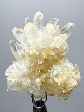 Load image into Gallery viewer, 1.4” High-Grade Flower Calcite Specimen | Wenshan Mine, Yunnan, China | Collector Mineral Display