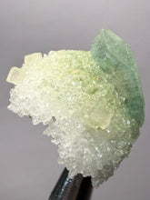 Load image into Gallery viewer, Luminous Mint Apophyllite with Glittering Druzy Sugar Quartz – India
