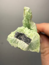 Load image into Gallery viewer, High-Grade Green Wavellite Collectors Specimen - Radiating Botryoidal Crystal Formation - Arkansas, USA