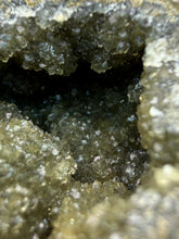 Load image into Gallery viewer, Bivalve (Pelecypoda) Fossil Sea Shell with Calcite Crystals and Chalcopyrite | Mineralized Fossil Specimen | Indonesia