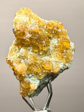 Load image into Gallery viewer, Hessonite Garnet Cluster on Matrix – Natural Collector Specimen from Pakistan | High-Grade Orange-Red Garnet Crystals