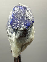 Load image into Gallery viewer, Afghanite & Lazurite on Matrix Collector Display Specimen | Badakhshan Region, Afghanistan