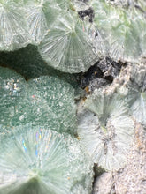 Load image into Gallery viewer, High-Grade Green Wavellite Collectors Specimen - Radiating Botryoidal Crystal Formation - Arkansas, USA