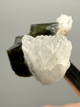 Load image into Gallery viewer, Blue Cap Dark Green Stak Nala Tourmaline and Cleavelandite – Haramosh Mountains, Pakistan | Thumbnail Specimen