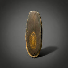Load image into Gallery viewer, Stromatolite Fossil Slice | Ancient Microbial Reef Structure | Morocco