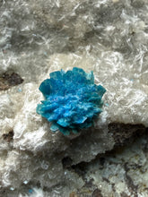 Load image into Gallery viewer, Rare Electric Blue Cavansite on Druzy Matrix – Collector Mineral Specimen | India