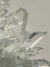 Load image into Gallery viewer, High-Grade Chrysanthemum Quartz (Needle Quartz) Spray Cluster | Jiangxi, China