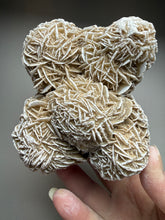 Load image into Gallery viewer, Desert Rose Selenite (Gypsum) — Mineral Display Specimen | Mexico