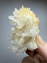 Load image into Gallery viewer, High-Grade Coral Aragonite Crystal Specimen – Wenshan Mine, Yunnan, China
