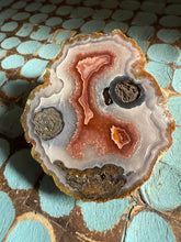 Load image into Gallery viewer, Agua Nueva Agate Nodule • High Grade Mineral Display Specimen • Mirror Polish