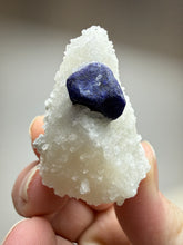 Load image into Gallery viewer, Afghan Lazurite Specimen | Deep Blue Lapis-Grade Crystal on Matrix | Collector Display Mineral