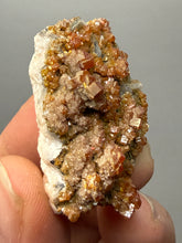 Load image into Gallery viewer, Natural Vanadinite on Matrix | Collector Mineral Specimen | Morocco