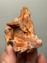Load image into Gallery viewer, Chalcedony Quartz Rose Agate Collector Mineral Specimen – Morocco