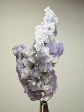 Load image into Gallery viewer, Indonesian Grape Agate (Botryoidal Purple Chalcedony) Display Specimen | Mamuju, West Sulawesi, Indonesia