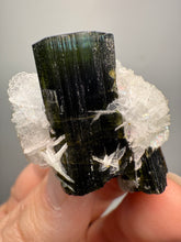 Load image into Gallery viewer, Dark Green Cap Stak Nala Tourmaline on Cleavelandite Matrix – Haramosh Mountains, Pakistan