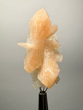 Load image into Gallery viewer, High-Grade Apophyllite on Pink Stilbite Zeolite | Indian Collector Mineral Specimen