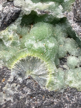 Load image into Gallery viewer, High-Grade Green Wavellite Collectors Specimen - Radiating Botryoidal Crystal Formation - Arkansas, USA