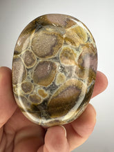 Load image into Gallery viewer, Cobra Jasper Palm Stone from India • High Grade