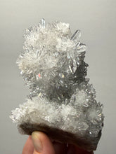 Load image into Gallery viewer, High-Grade Chrysanthemum Quartz (Needle Quartz) Spray Cluster | Jiangxi, China