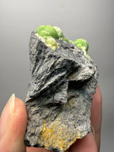 Load image into Gallery viewer, High-Grade Green Wavellite Collectors Specimen - Radiating Botryoidal Crystal Formation - Arkansas, USA