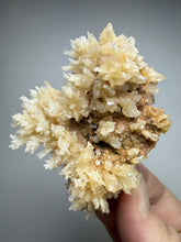 Load image into Gallery viewer, High-Grade Coral Aragonite Crystal Specimen – Wenshan Mine, Yunnan, China