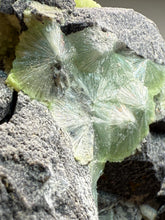 Load image into Gallery viewer, High-Grade Green Wavellite Collectors Specimen - Radiating Botryoidal Crystal Formation - Arkansas, USA