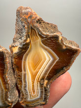 Load image into Gallery viewer, High-Grade Indonesian Sumatra Agate Pair – Vibrant Banded Chalcedony with Rich Color Zoning | Ethical Lapidary & Collector Display Specimens
