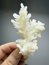 Load image into Gallery viewer, White Coral Aragonite Crystal Specimen – Wenshan Mine, Yunnan, China