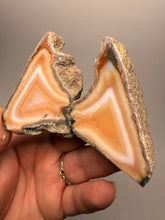 Load image into Gallery viewer, High-Grade Indonesian Sumatra Agate Pair – Vibrant Banded Chalcedony with Rich Color Zoning | Ethical Lapidary & Collector Display Specimens