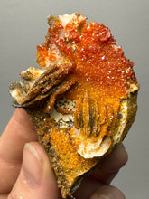 Load image into Gallery viewer, Natural Vanadinite on Matrix | Collector Mineral Specimen | Morocco