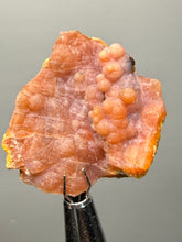 Load image into Gallery viewer, “Goblin Chalcedony” Pink and Red Druzy Botryoidal Stalactites — Tichka Massif, High Atlas, Morocco