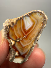 Load image into Gallery viewer, High-Grade Indonesian Sumatra Agate Pair – Vibrant Banded Chalcedony with Rich Color Zoning | Ethical Lapidary & Collector Display Specimens