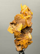 Load image into Gallery viewer, High-Grade Orange Wulfenite Collector Display Specimen | La Morita Mine, Chihuahua, Mexico