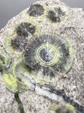 Load image into Gallery viewer, High-Grade Green Wavellite Collectors Specimen - Radiating Botryoidal Crystal Formation - Arkansas, USA