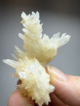 Load image into Gallery viewer, High-Grade Coral Aragonite Crystal Specimen – Wenshan Mine, Yunnan, China