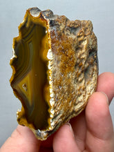 Load image into Gallery viewer, Premium Sumatra Agate (Banded Chalcedony) Display Specimen | Indonesia