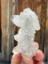 Load image into Gallery viewer, Clear Gem Apophyllite Encrusted Stalactite • Maharashtra, India