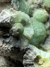 Load image into Gallery viewer, High-Grade Green Wavellite Collectors Specimen - Radiating Botryoidal Crystal Formation - Arkansas, USA